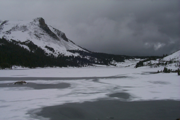 Photograph of gloomy landscape in Yosemite