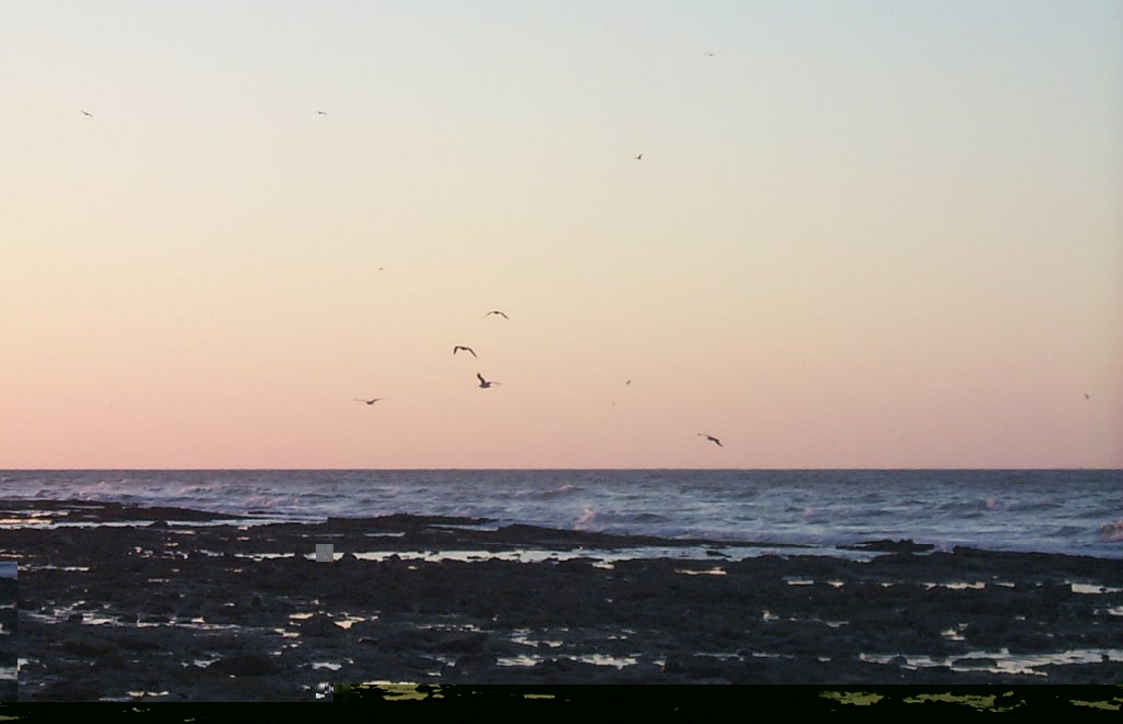Las conchas -- low tide at sunrise