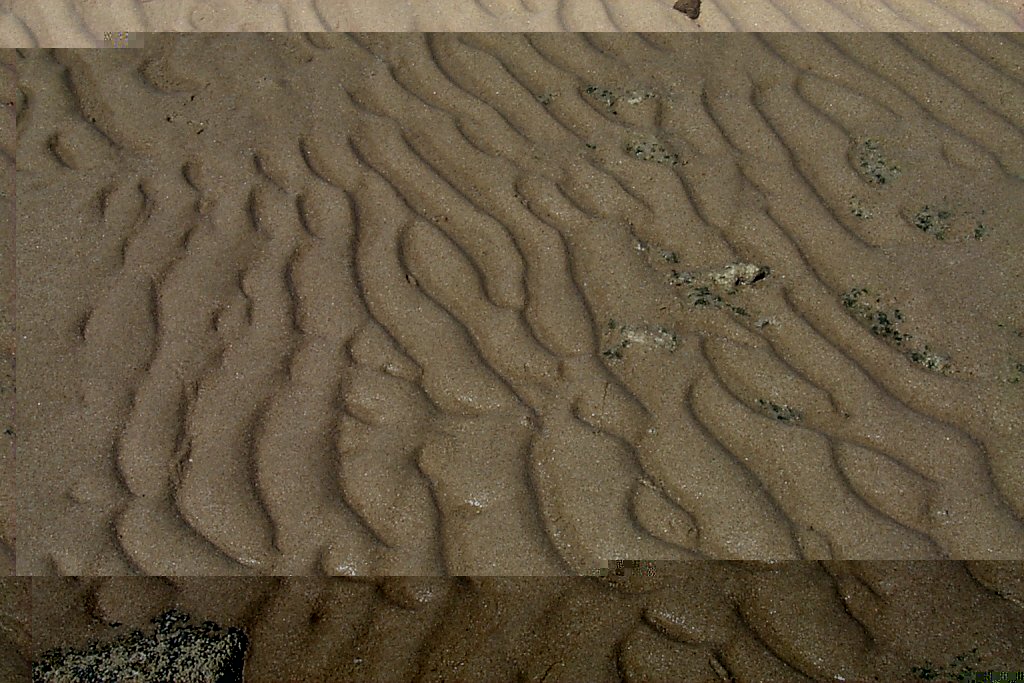 Las conchas -- patterns in the sand