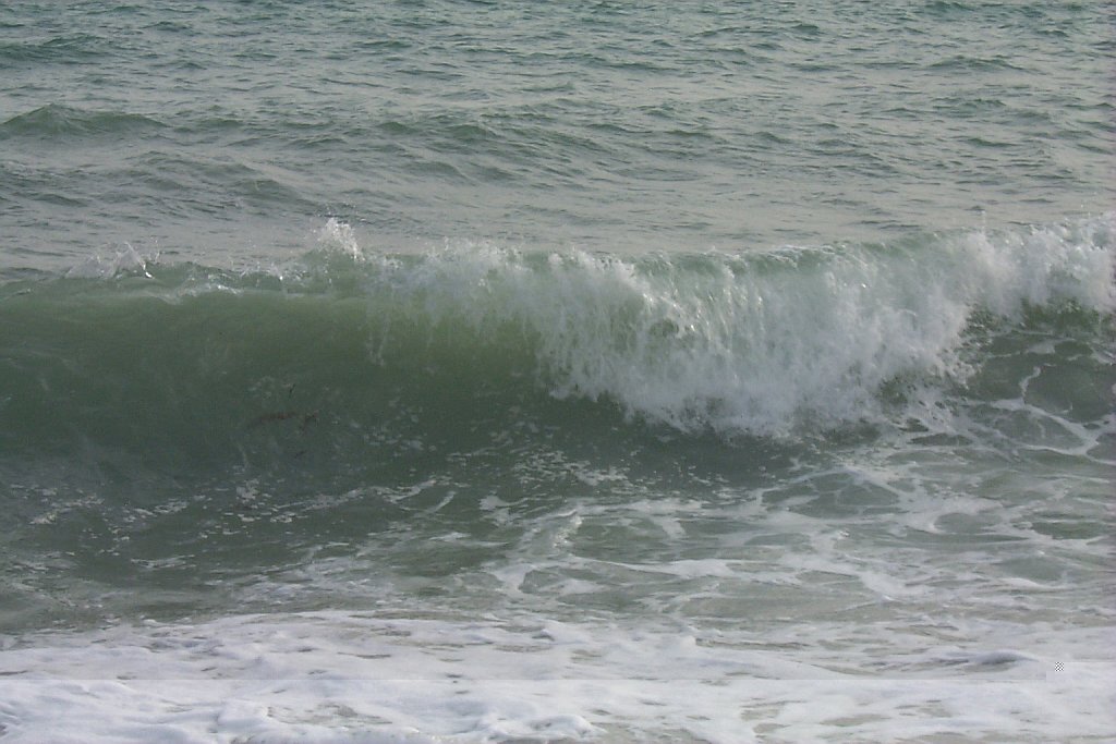 Las conchas -- sea near sunset