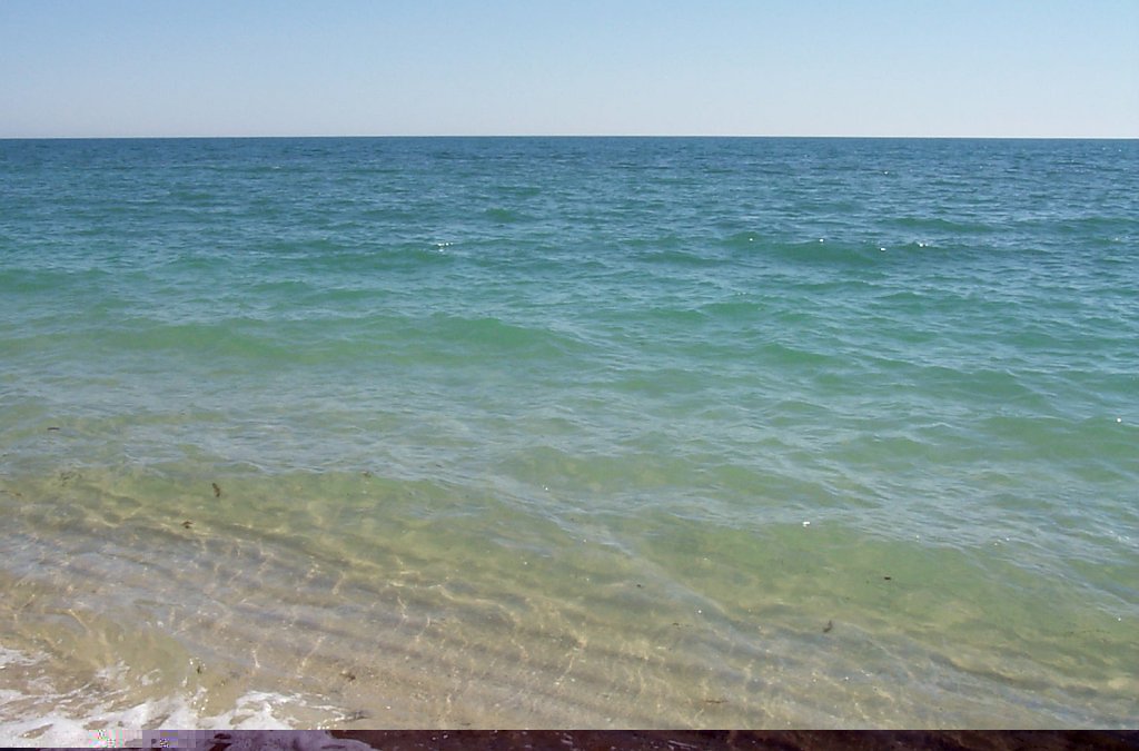 Las conchas -- the sea of cortez