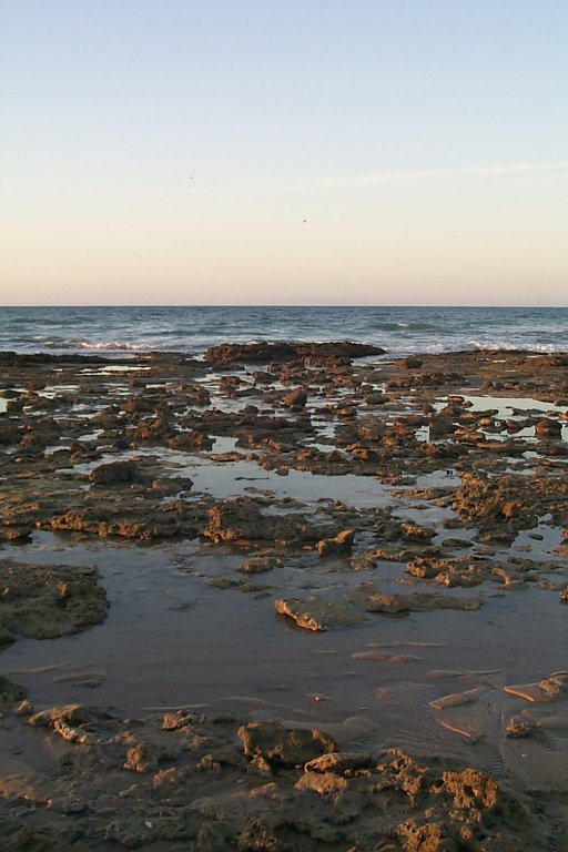 Las conchas -- tide pool detail at sunrise