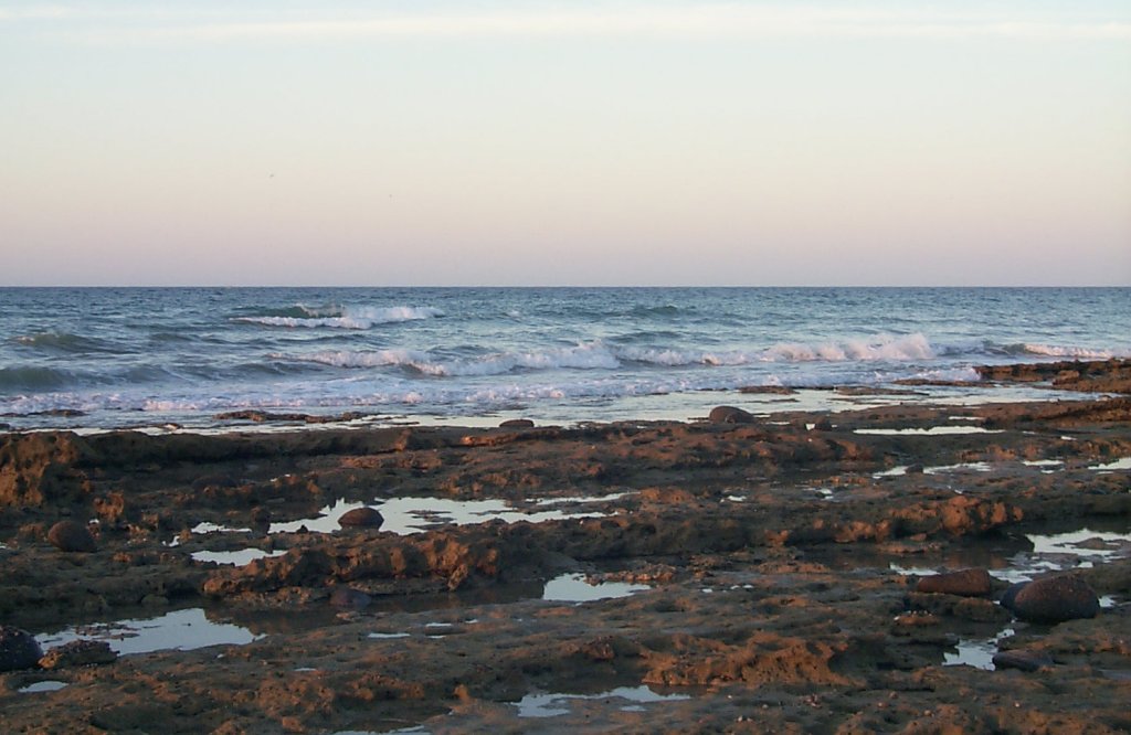 Las conchas -- tide pools at sunrise