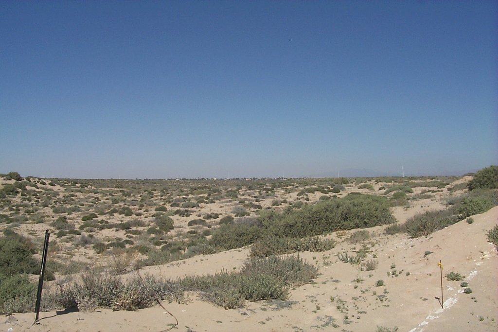 Las conchas -- view behind house -- not beach but desert