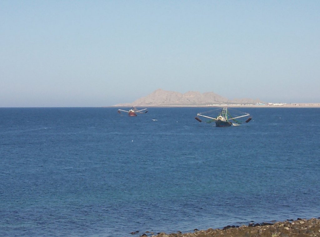 Puerto penasco -- fishing boats in the old port