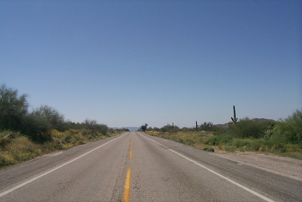 Sonora mexico -- mx route 8 looking south