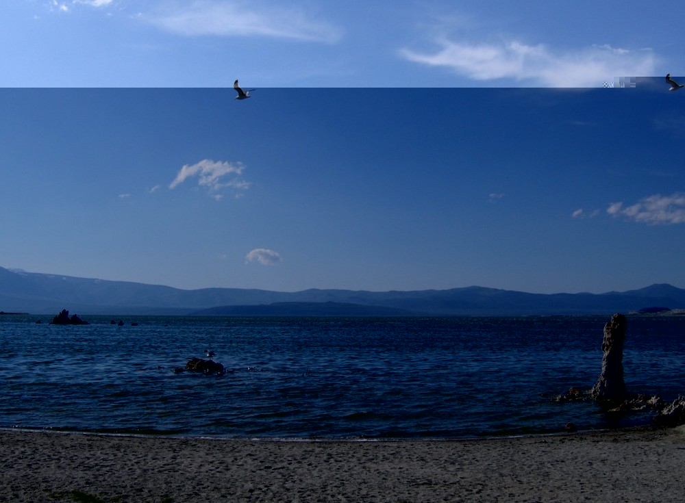 Mono lake -- june 2005